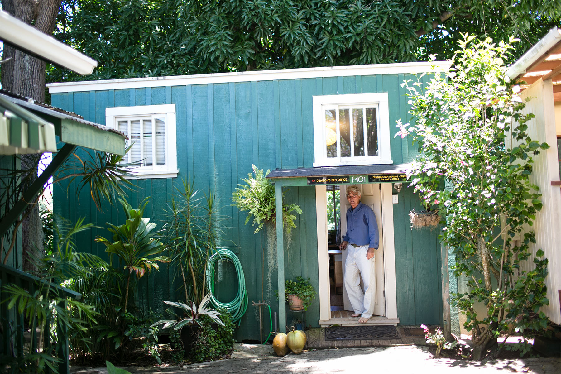 Dr Malik Cotter Office Maui Acupunture Dragons Den Herb Shop